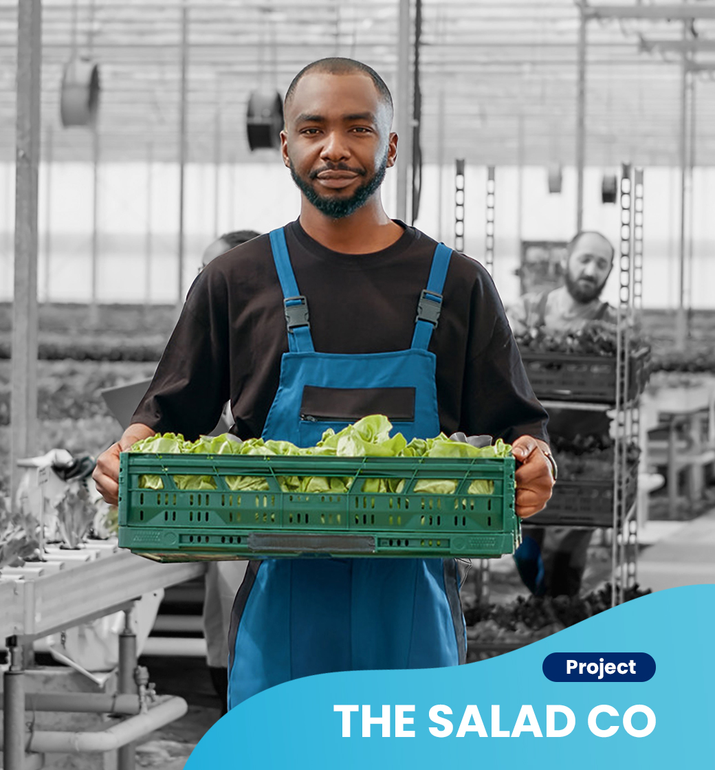 The Salad Co